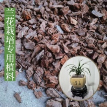 兰科栽培专用植料原生纯腐松木芯碎木屑软弹吸水超好用