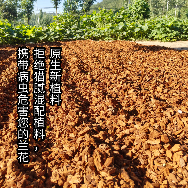 兰科栽培专用植料原生纯腐松木芯碎木屑软弹吸水超好用