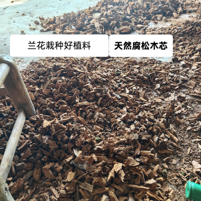 兰科栽培专用植料原生纯腐松木芯碎木屑软弹吸水超好用