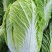 大白菜，黄心白菜，0.2一斤