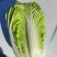 大白菜，黄心白菜，0.2一斤