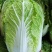 大白菜，黄心白菜，0.2一斤