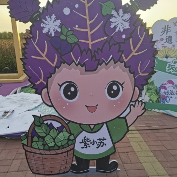 新苏子上市了，诚信经营，合作共赢，欢迎致质量很好