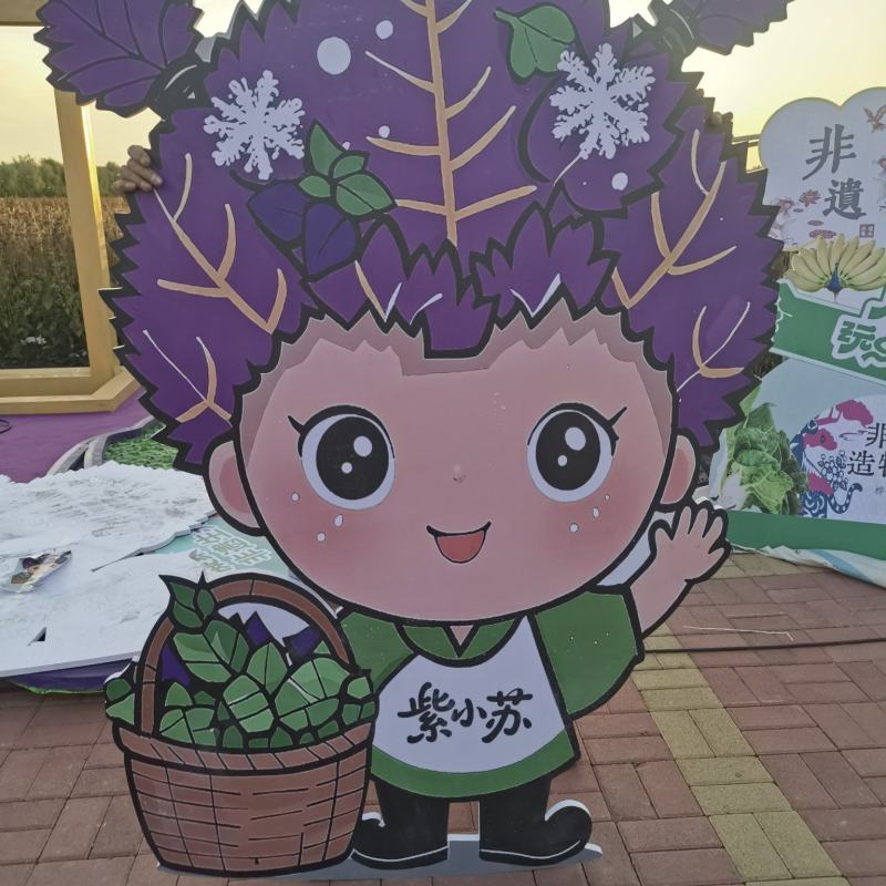 新苏子上市了，诚信经营，合作共赢，欢迎致质量很好
