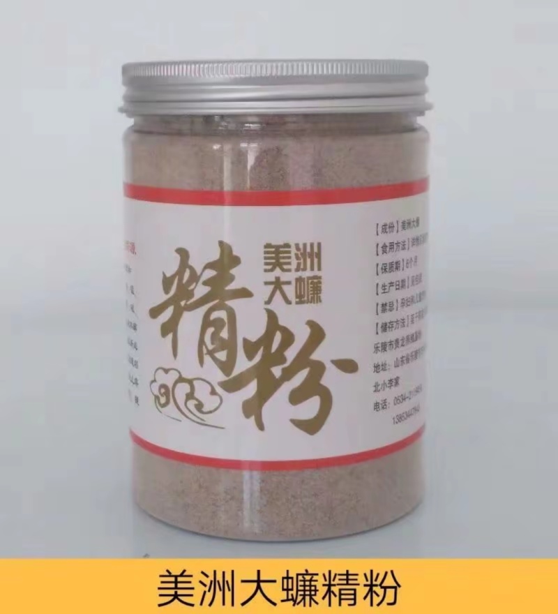 美洲大蠊精粉，超微研磨精粉，脱脂精粉各种美洲大蠊加工品