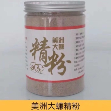 美洲大蠊精粉，超微研磨精粉，脱脂精粉各种美洲大蠊加工品