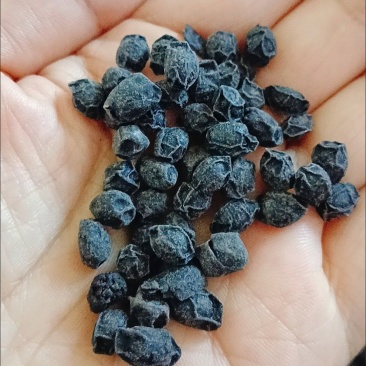 手工制作当归黑豆即食手工萍乡特产制作营养丰富健康