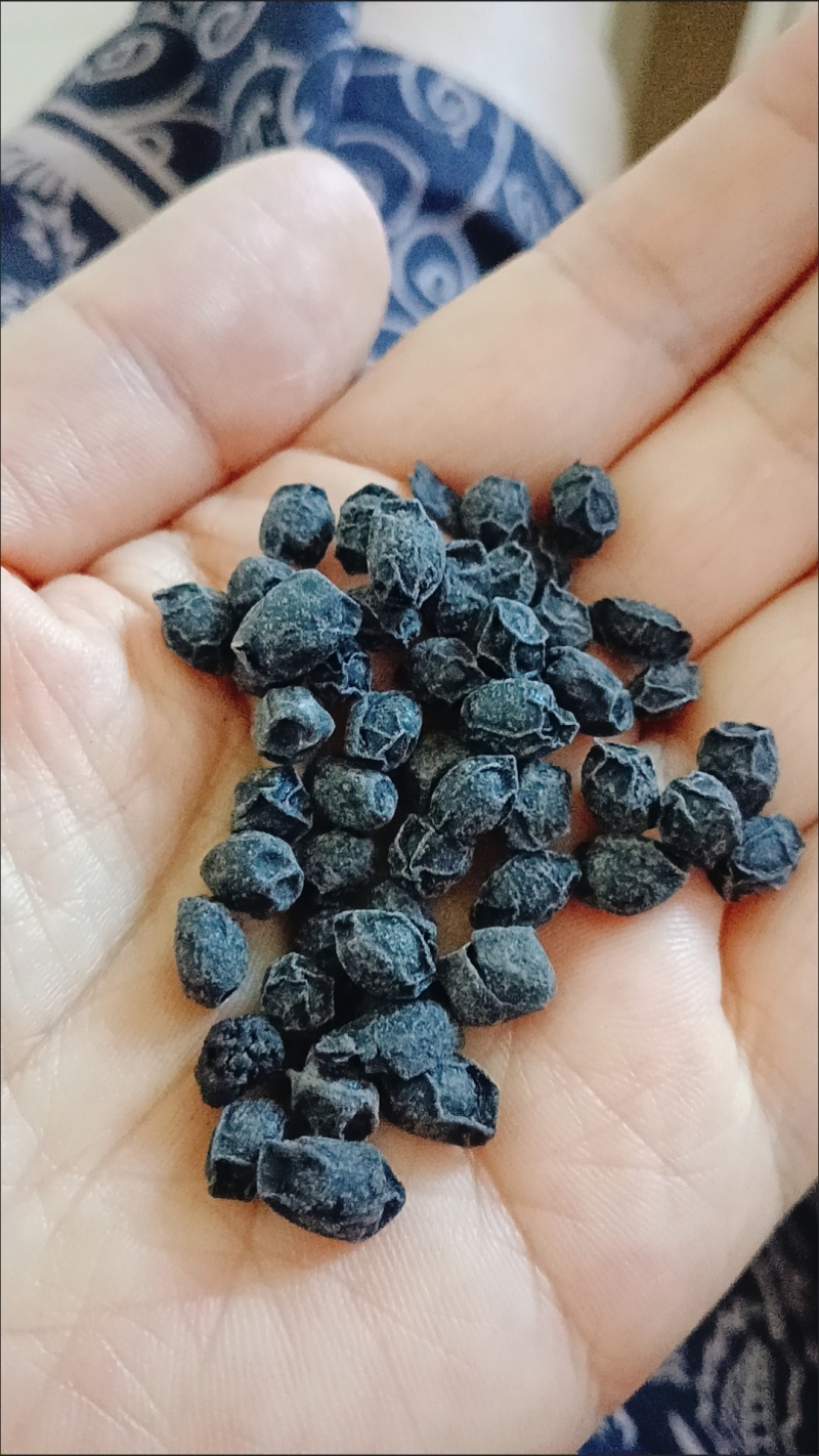 手工制作当归黑豆即食手工萍乡特产制作营养丰富健康