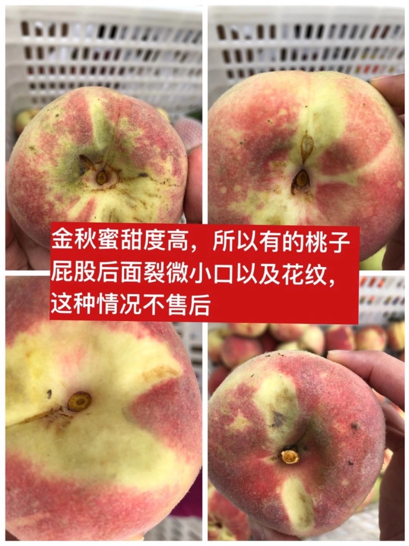 高山·金秋红蜜当季现摘桃子核小肉厚脆甜多汁