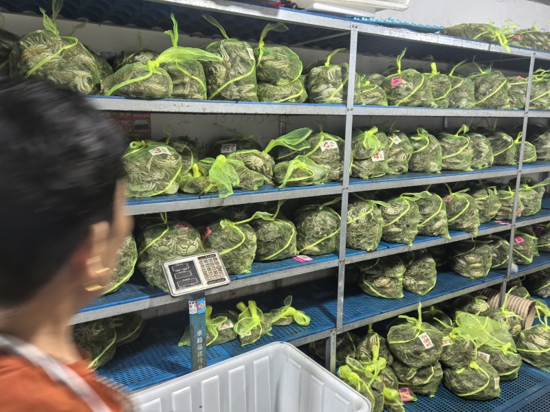 大闸蟹