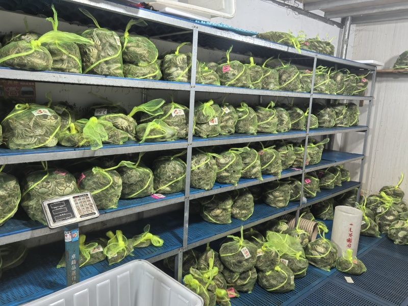 大闸蟹