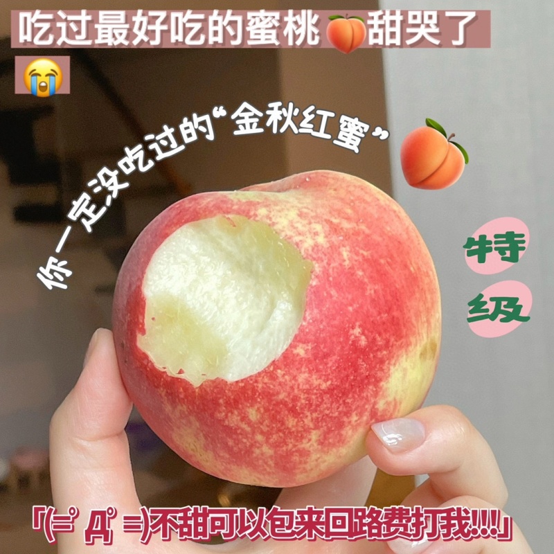 高山·金秋红蜜当季现摘桃子核小肉厚脆甜多汁