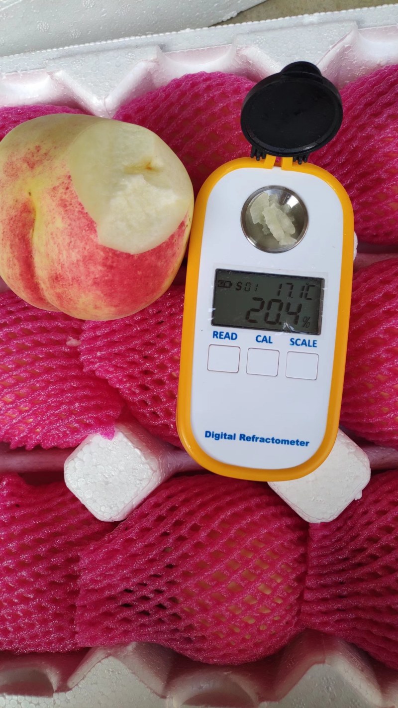 高山·金秋红蜜当季现摘桃子核小肉厚脆甜多汁