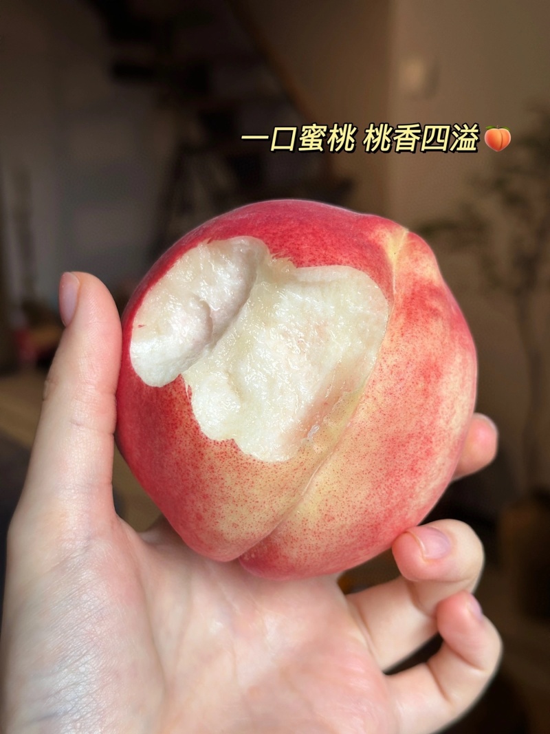 高山·金秋红蜜当季现摘桃子核小肉厚脆甜多汁