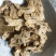 白术新货白术两年白术《聚源药业专注批发零售中药材