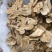 白术新货白术两年白术《聚源药业专注批发零售中药材