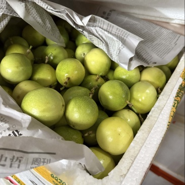 钦蜜9号百香果