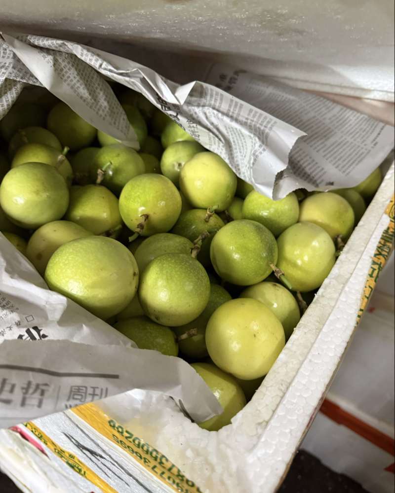 钦蜜9号百香果