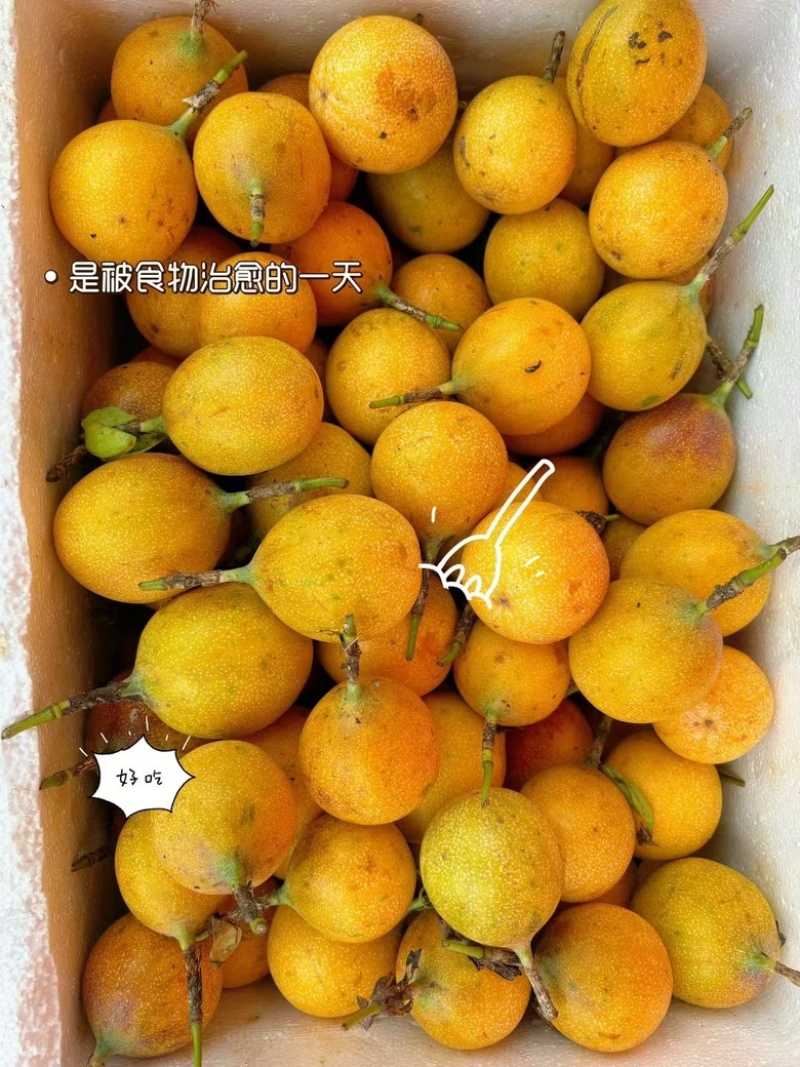 热情果