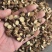 甘草中片甘草颜色红选货8-12《聚源药业》专注中药