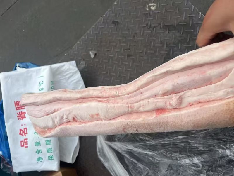 脊背膘