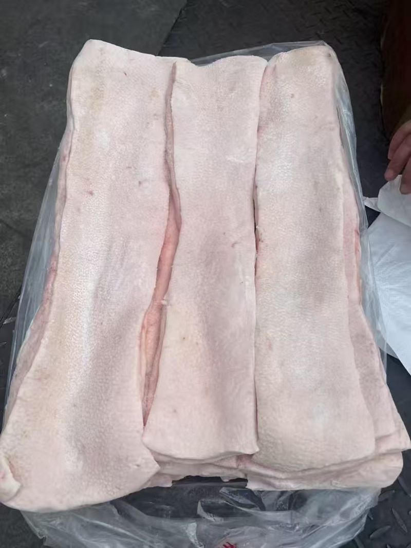脊背膘