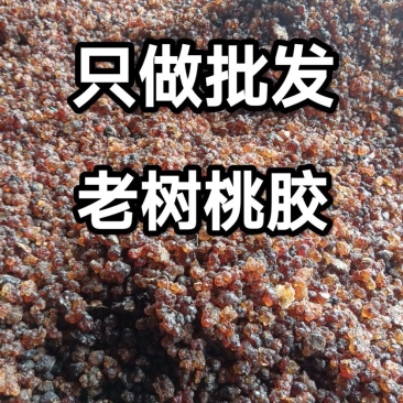 桃胶中药材货真价实批发零售冷背中药材大全