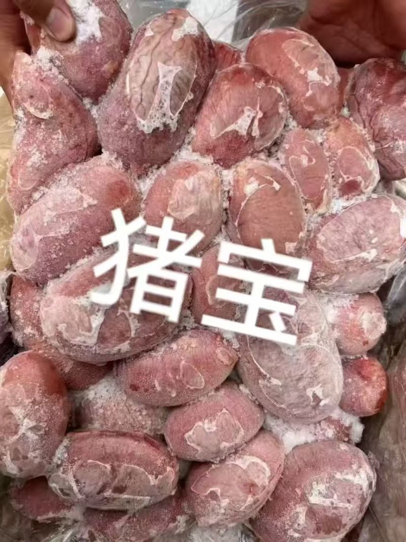 猪宝