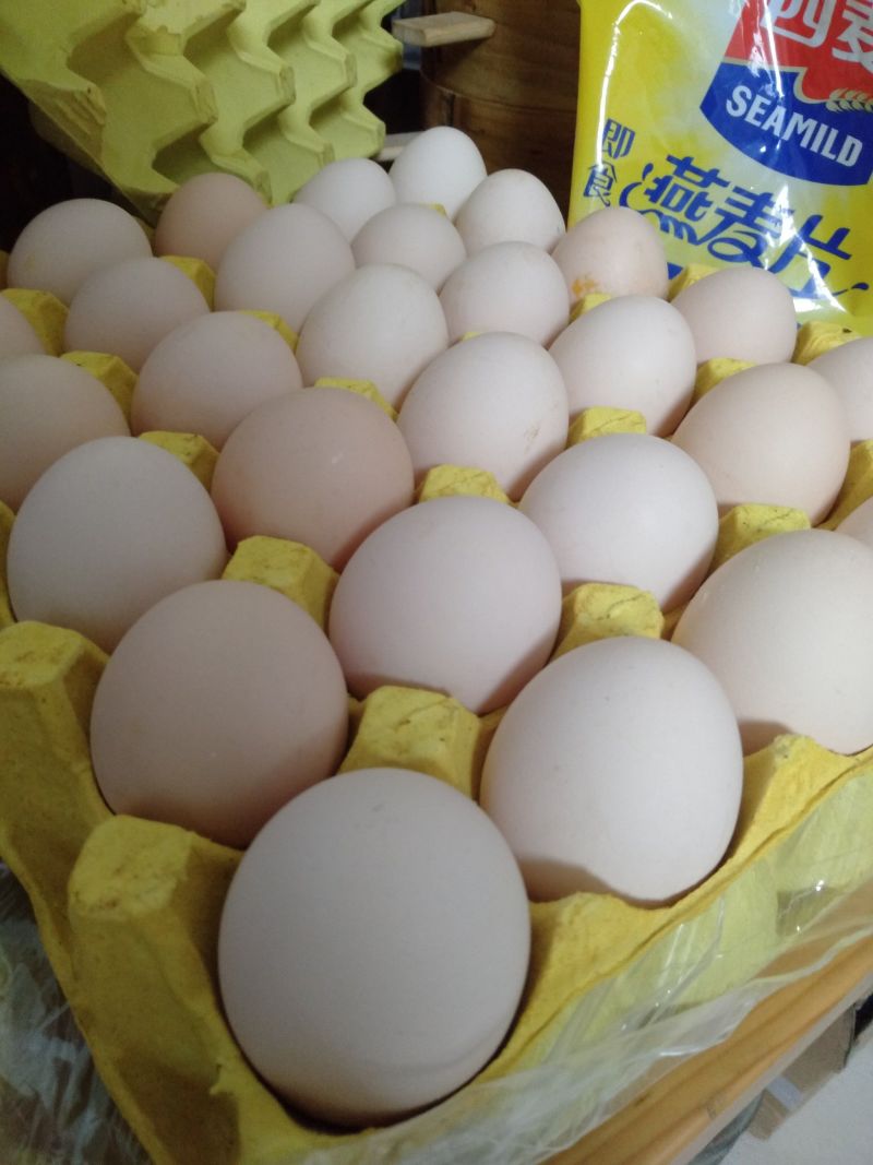 新鲜鸡蛋,还有现货。有需要的可以联系