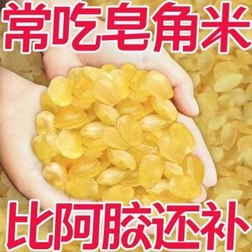 皂角米中药材***货真价实批发零售一手货源