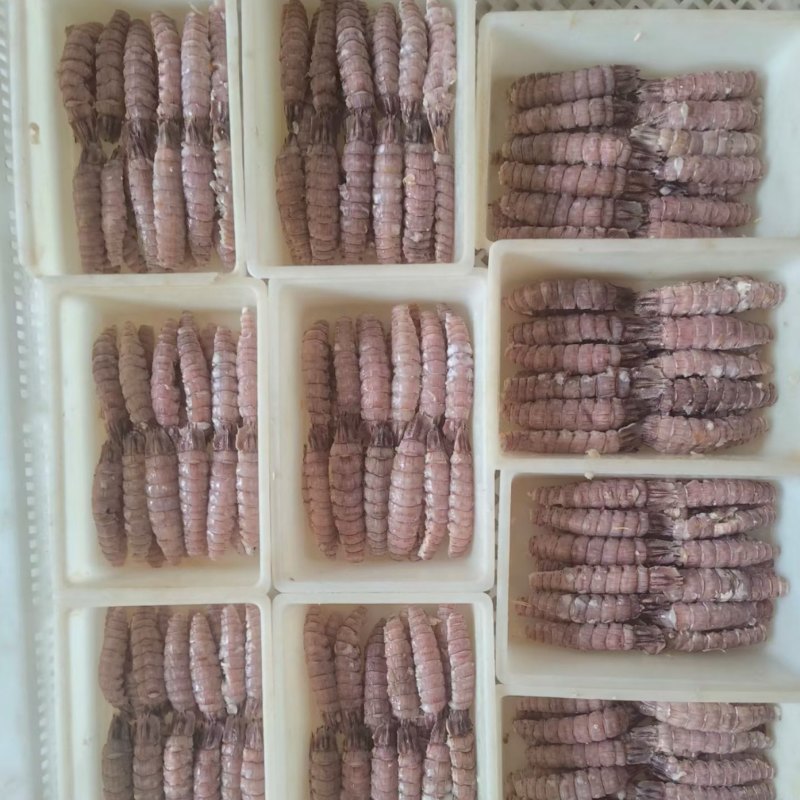 皮皮虾肉