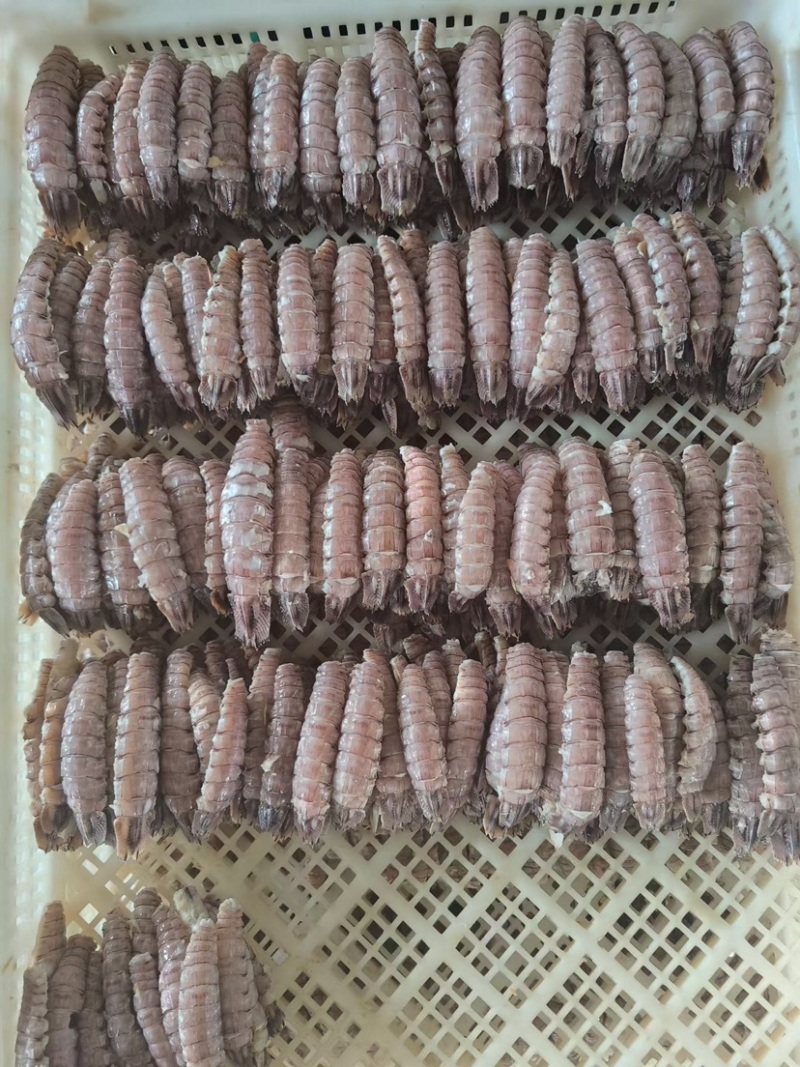 皮皮虾肉