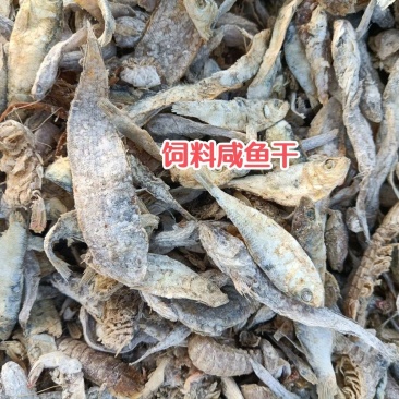 饲料鱼干，有大量饲料鱼干现货，可做猪饲料鸭饲料各种饲料欢
