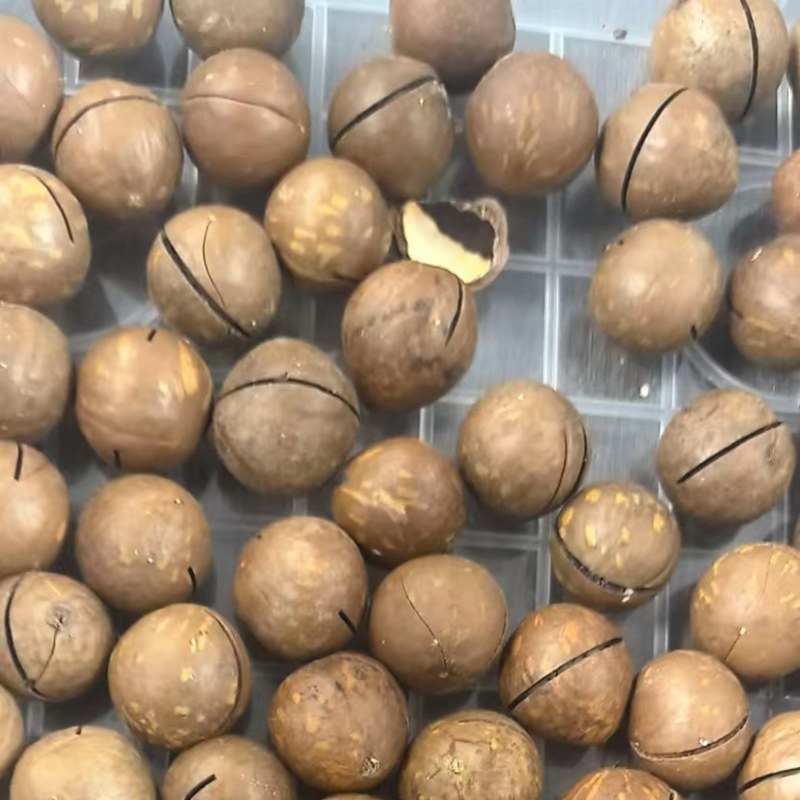 夏威夷果大量现货批发