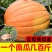 巨型南瓜籽太空种子观赏食用甘甜高产四季种植