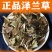 泽兰正宗新货泽兰正品新鲜泽兰自然晒干无硫***泽兰