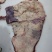 腹肉片如果产品需要的话