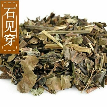 石见穿中药材新货无硫石见穿货真价实批发零售