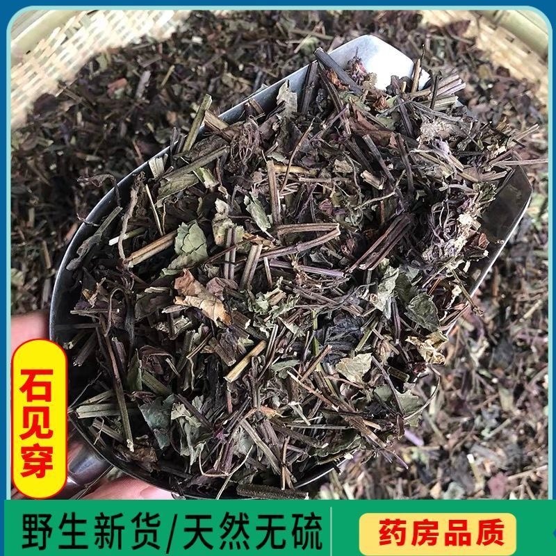 石见穿中药材新货无硫石见穿货真价实批发零售