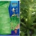 川地特青山维B笋莴笋种子香莴苣种籽圆叶三青皮青肉耐寒大田