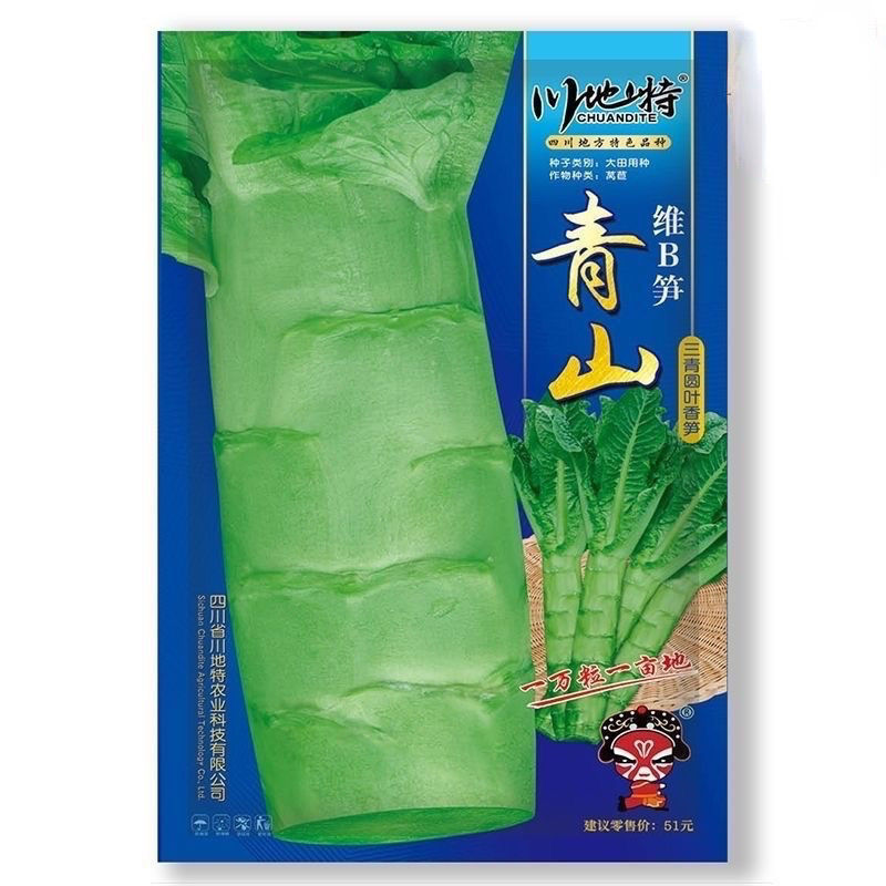 川地特青山维B笋莴笋种子香莴苣种籽圆叶三青皮青肉耐寒大田