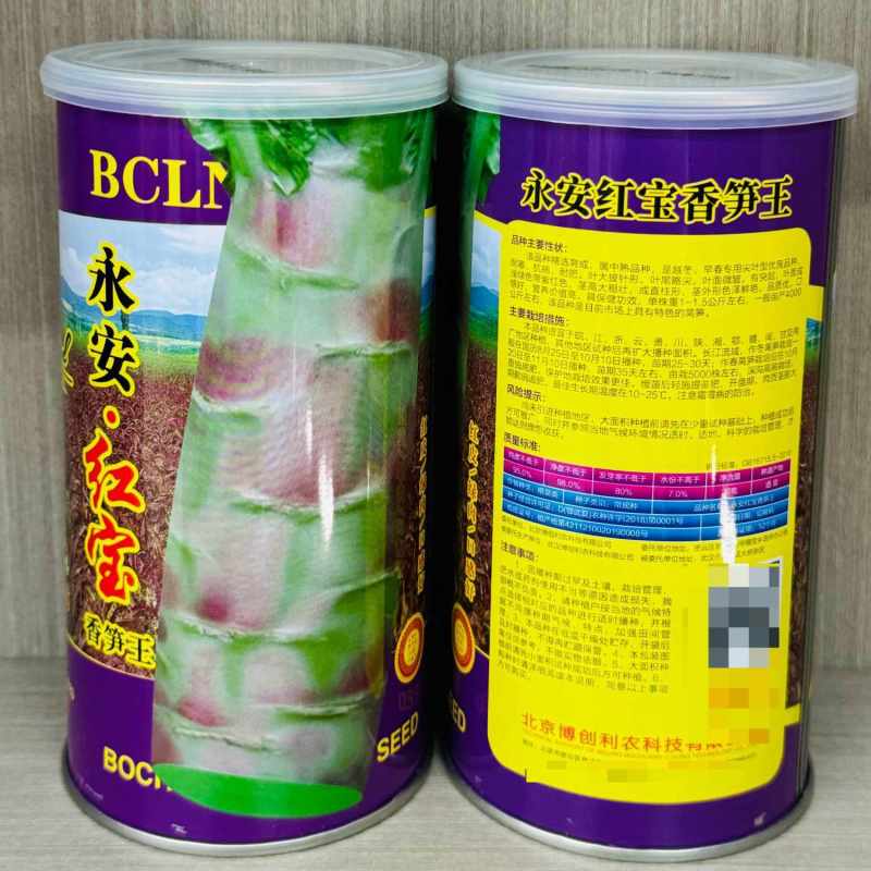 永安红宝香笋王种子耐寒抗病早熟莴笋种籽大田基地种植品质优