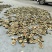 枳壳大量供应货源充足量大从优可全国发货欢迎咨询
