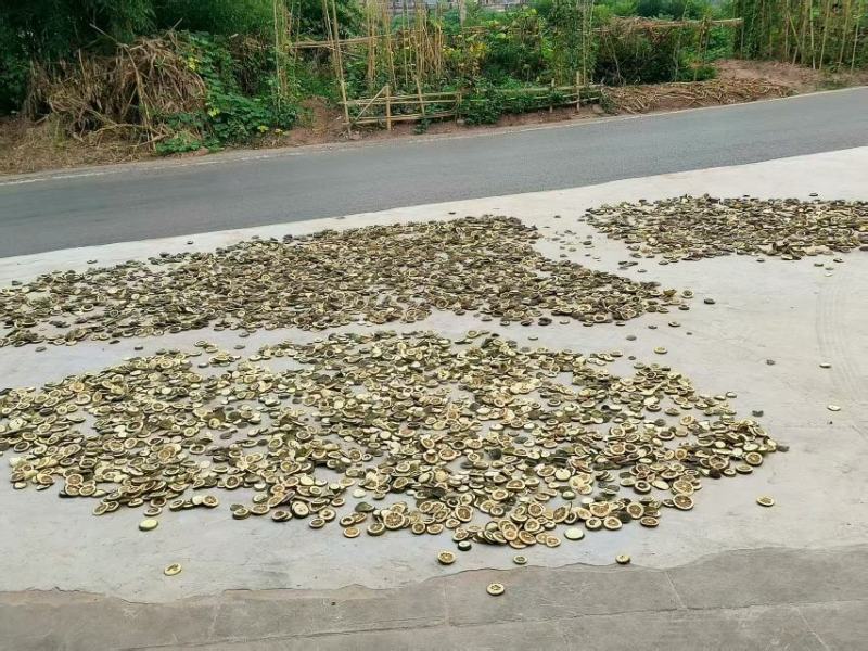 枳壳大量供应货源充足量大从优可全国发货欢迎咨询