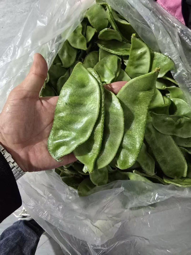山东眉豆猪耳朵扁豆产地直发货源充一手货源对接各大商