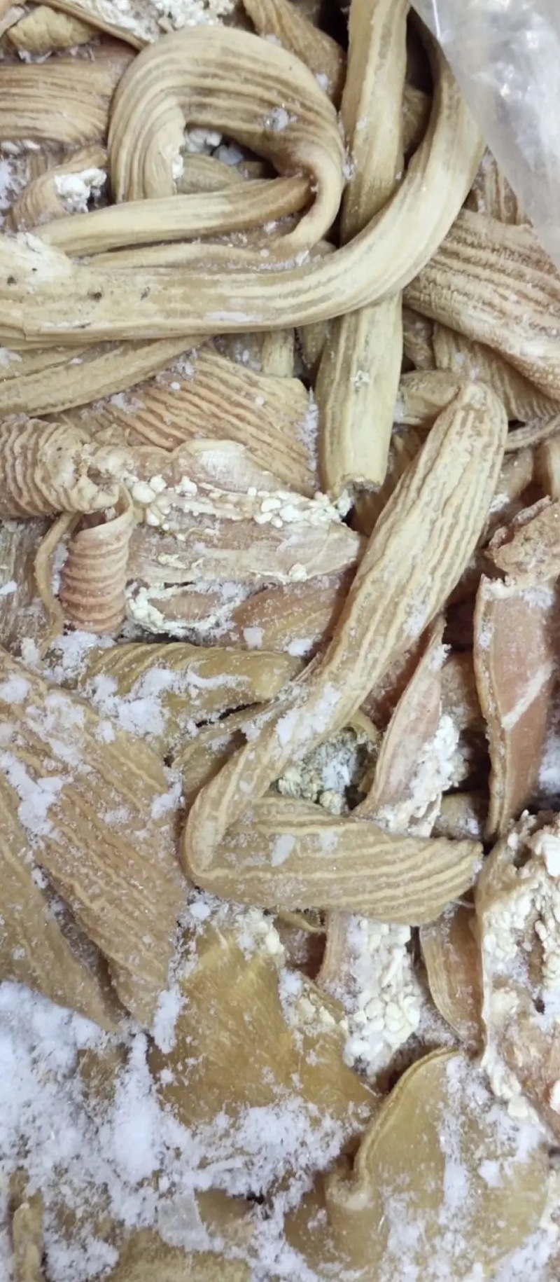 【熟牛肠】牛大肠抛开去油质量看得见现货出售