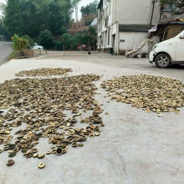 枳壳大量供应货源充足量大从优可全国发货欢迎咨询