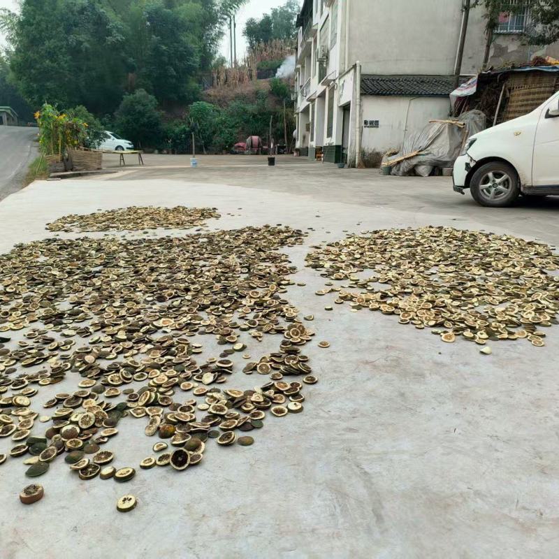 枳壳大量供应货源充足量大从优可全国发货欢迎咨询