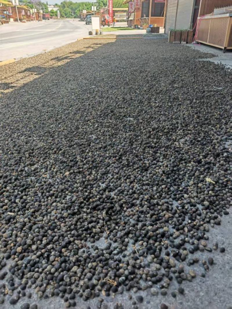 圆颗粒枳壳大量供应货源充足量大从优可全国发货欢迎咨询
