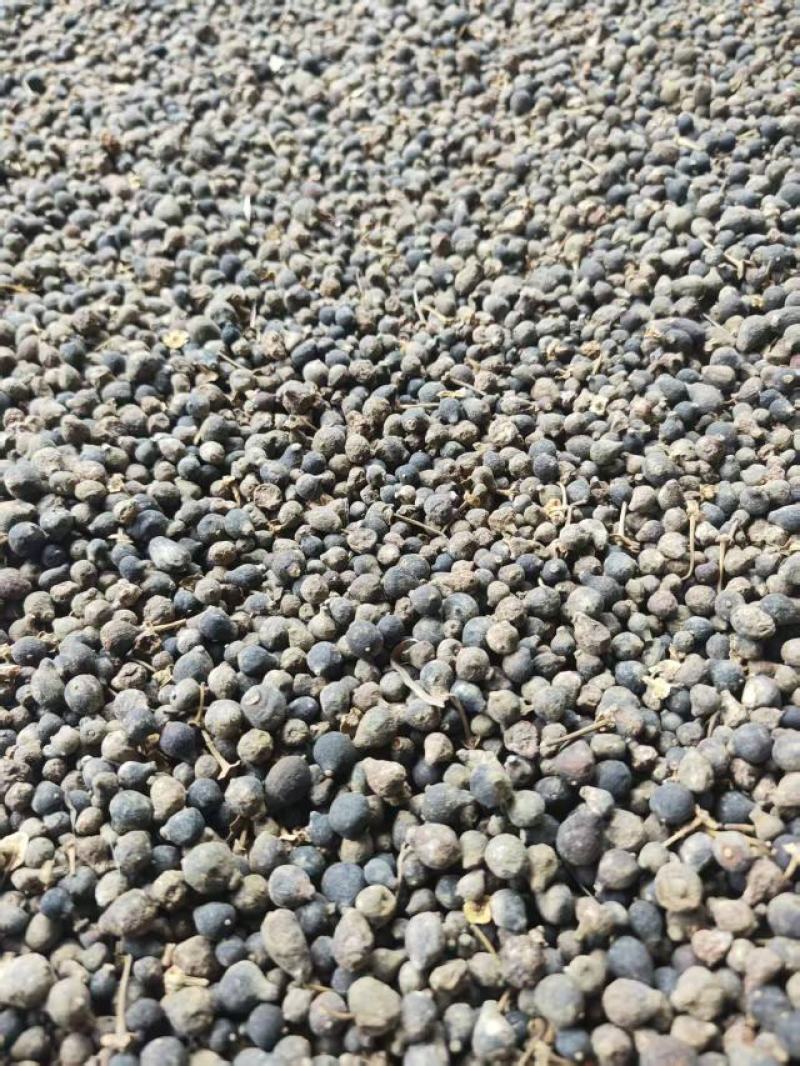 圆颗粒枳壳大量供应货源充足量大从优可全国发货欢迎咨询